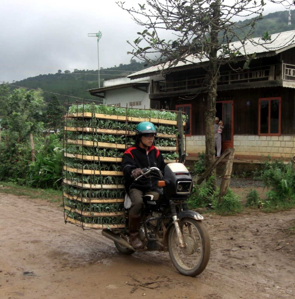 Không gian Lâm Đồng trong câu chuyện về Nước mắm Phan Thiết, góc nhìn 1